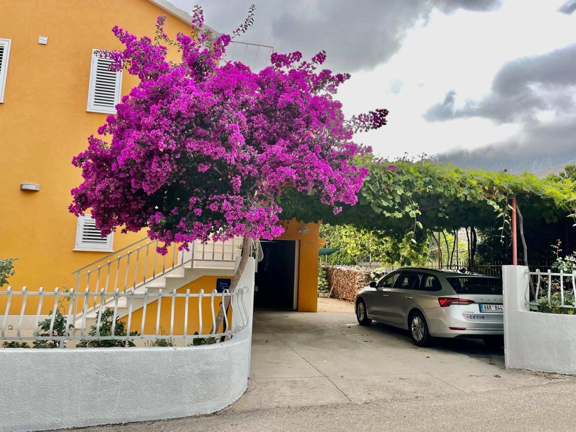 Apartments With A Parking Space Orebic, Peljesac - 4527 المظهر الخارجي الصورة