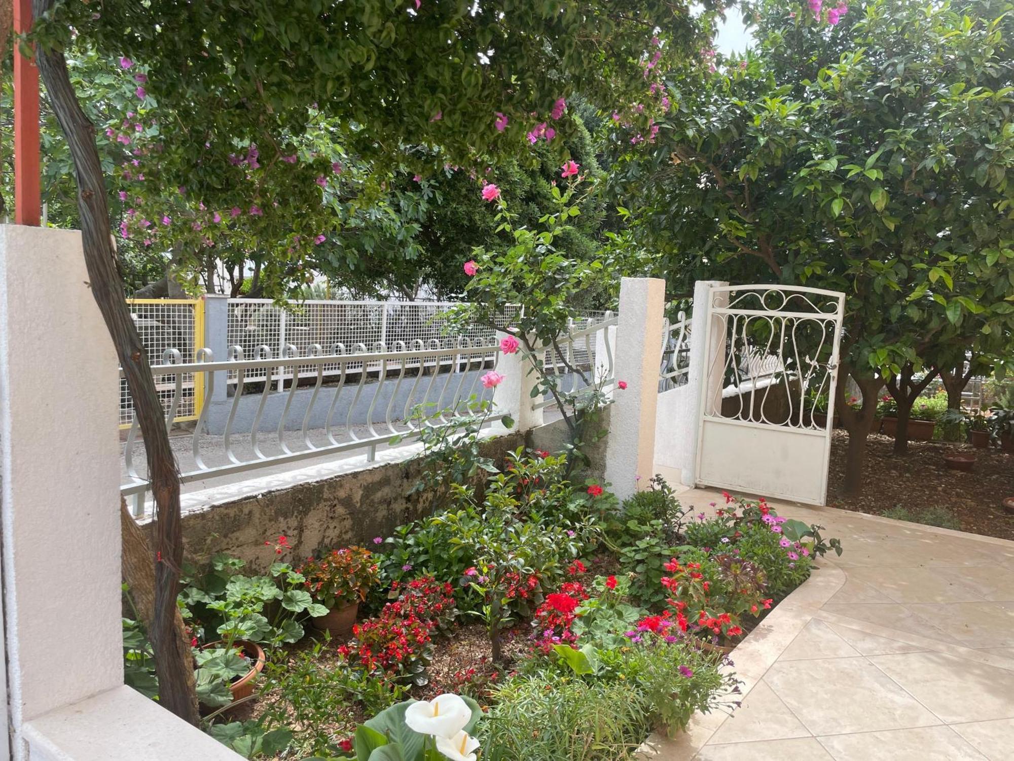 Apartments With A Parking Space Orebic, Peljesac - 4527 المظهر الخارجي الصورة